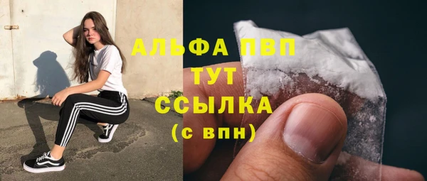 прущие грибы Козельск