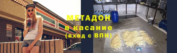 прущие грибы Козельск