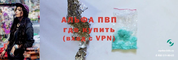 прущие грибы Козельск