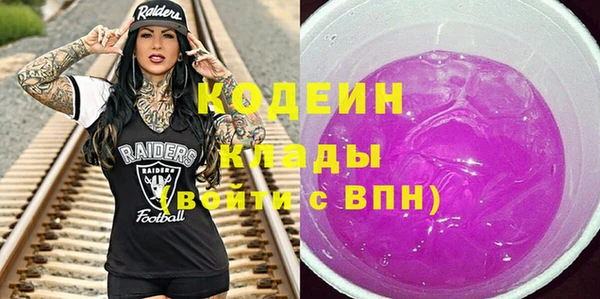 прущие грибы Козельск