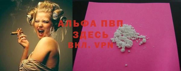 прущие грибы Козельск