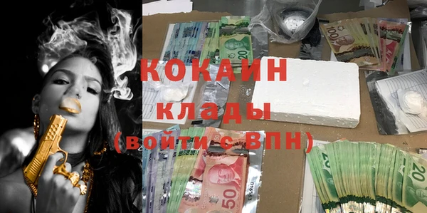 мдпв Козловка