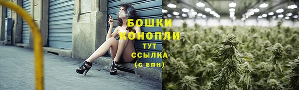 гидропоника Кодинск